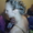 Плету красивые косы недорого - <ro>Изображение</ro><ru>Изображение</ru> #5, <ru>Объявление</ru> #919765