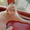 Милашка -котенок. Бесплатно - <ro>Изображение</ro><ru>Изображение</ru> #4, <ru>Объявление</ru> #989562