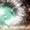 Фейерверк пиротехника небесные фонарики пневматические хлопушки хлопушки - <ro>Изображение</ro><ru>Изображение</ru> #3, <ru>Объявление</ru> #1031269