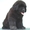 Продам  щенков ньюфаундленда - <ro>Изображение</ro><ru>Изображение</ru> #3, <ru>Объявление</ru> #1133163