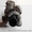 Турбина (турбокомпрессор) дигателя для VW Touran 1.9 tdi  - <ro>Изображение</ro><ru>Изображение</ru> #1, <ru>Объявление</ru> #1145416