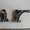 Рычаг левый/правый передней подвески для Skoda Octavia 1.9tdi #1155201