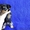 Недорого продам щенков йоркширский терьер - <ro>Изображение</ro><ru>Изображение</ru> #3, <ru>Объявление</ru> #1249943