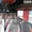 Пассажирские перевозки Кременчуг Санкт-Петербург - <ro>Изображение</ro><ru>Изображение</ru> #3, <ru>Объявление</ru> #1377717