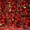Картонный ящик под клубнику,малину,черешню,персик,виноград - <ro>Изображение</ro><ru>Изображение</ru> #4, <ru>Объявление</ru> #1538530