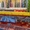 Магазин килимів Полтава. Купити дитячий килим Полтава. - <ro>Изображение</ro><ru>Изображение</ru> #5, <ru>Объявление</ru> #1643940