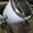 Барабанный смеситель для жидких и сыпучих продуктов - <ro>Изображение</ro><ru>Изображение</ru> #2, <ru>Объявление</ru> #1674146