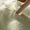 Сухе знежирене молоко (СЗМ), 1, 5%, ДСТУ - <ro>Изображение</ro><ru>Изображение</ru> #1, <ru>Объявление</ru> #1741578