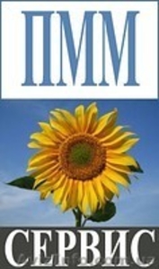 Продам на экспорт подсолнечник кондитерский калиброванный.