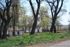 Продам участок на берегу водохранилища - <ro>Изображение</ro><ru>Изображение</ru> #3, <ru>Объявление</ru> #244354