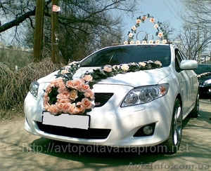 Авто на свадьбу Полтава, свадебное авто с водителем Полтава,свадебные перевозки  - <ro>Изображение</ro><ru>Изображение</ru> #4, <ru>Объявление</ru> #372111