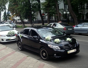 Авто на свадьбу Полтава, свадебное авто с водителем Полтава,свадебные перевозки  - <ro>Изображение</ro><ru>Изображение</ru> #1, <ru>Объявление</ru> #372111