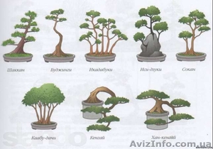 Искусственные деревья бонсай. Сосна, лиственные, бисерные - <ro>Изображение</ro><ru>Изображение</ru> #3, <ru>Объявление</ru> #652852