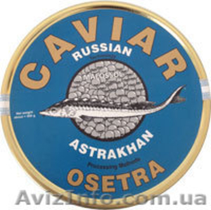 Икра породы осетровых черная Hayko (Хайко)