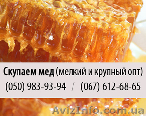 Покупка меда крупным и мелким оптом в Днепропетровске