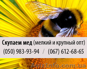 Покупаем мед (закупка пчелиного меда) крупным и мелким оптом в Полтаве - <ro>Изображение</ro><ru>Изображение</ru> #1, <ru>Объявление</ru> #828844
