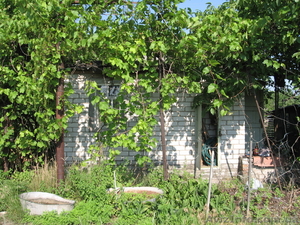 дача на берегу Днепра