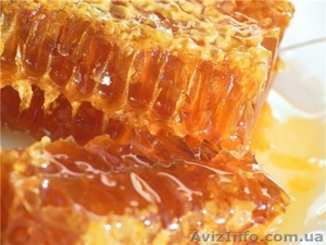 Продам мед и другие продукты пчеловодства со своей пасеки, Полтавская обл. - <ro>Изображение</ro><ru>Изображение</ru> #3, <ru>Объявление</ru> #914412