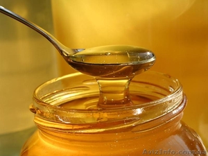 Продам мед и другие продукты пчеловодства со своей пасеки, Полтавская обл. - <ro>Изображение</ro><ru>Изображение</ru> #2, <ru>Объявление</ru> #914412