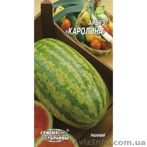 семена арбуза Каролина - <ro>Изображение</ro><ru>Изображение</ru> #1, <ru>Объявление</ru> #997538