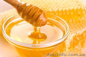 Продам подсолнечный мед со своей пасеки - <ro>Изображение</ro><ru>Изображение</ru> #2, <ru>Объявление</ru> #1144395