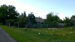 дом+1га по трассе киев-харьков возле решетиловка полтава обл - <ro>Изображение</ro><ru>Изображение</ru> #3, <ru>Объявление</ru> #1300481