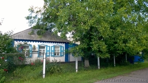 дом+1га по трассе киев-харьков возле решетиловка полтава обл - <ro>Изображение</ro><ru>Изображение</ru> #4, <ru>Объявление</ru> #1300481