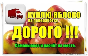 Куплю Яблоко на переработку, дoрого. - <ro>Изображение</ro><ru>Изображение</ru> #1, <ru>Объявление</ru> #1309200
