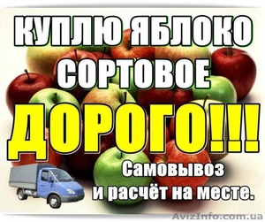 Куплю яблоко сортовое,  дорoго.