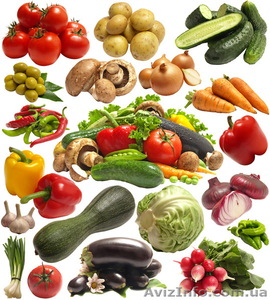 Продам семена оптом