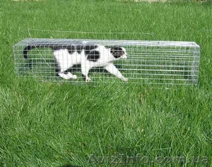 Котоловка. Живоловка. Поймать кота и кошку безопасно и надежно. Доставка