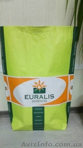 Продам семена простого гибрида подсолнечника Euralis - <ro>Изображение</ro><ru>Изображение</ru> #1, <ru>Объявление</ru> #1587546