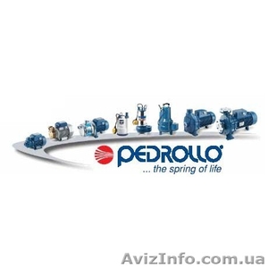  Официальный сервисный центр Pedrollo - <ro>Изображение</ro><ru>Изображение</ru> #5, <ru>Объявление</ru> #1638186