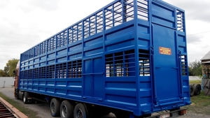 Двухэтажный полуприцеп для перевозки животных - скотовоз SCHMITZ - <ro>Изображение</ro><ru>Изображение</ru> #1, <ru>Объявление</ru> #1645288