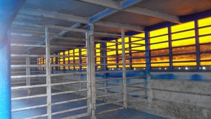 Двухэтажный полуприцеп для перевозки животных - скотовоз SCHMITZ - <ro>Изображение</ro><ru>Изображение</ru> #4, <ru>Объявление</ru> #1645288