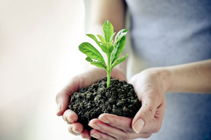 Куплю средства защиты растений,  гербициды,  фунгициды