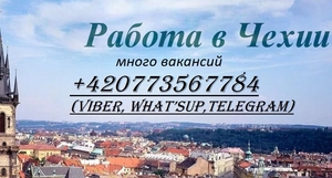 Работа в Чехии (много вакансий)