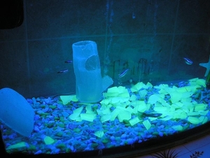 Светящиеся камни и люминесцентная мраморная крошка от Нокстон