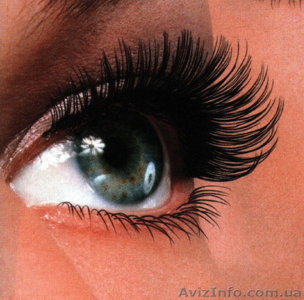 Наращивание ресниц в Полтаве - 200 грн - <ro>Изображение</ro><ru>Изображение</ru> #1, <ru>Объявление</ru> #5125