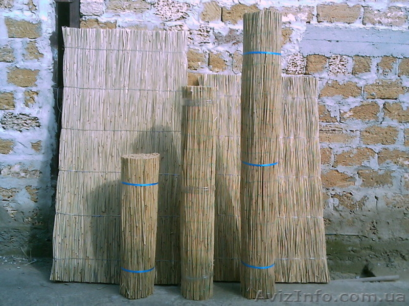 Камышовые плиты. Камышовая рогожка. Камыш в снопах. - <ro>Изображение</ro><ru>Изображение</ru> #2, <ru>Объявление</ru> #145675