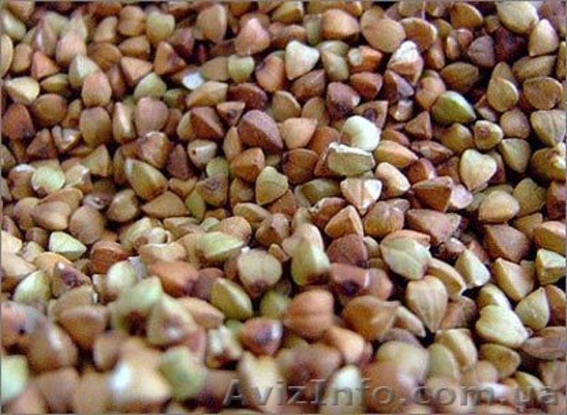 ООО Агро Легион - <ro>Изображение</ro><ru>Изображение</ru> #2, <ru>Объявление</ru> #173452