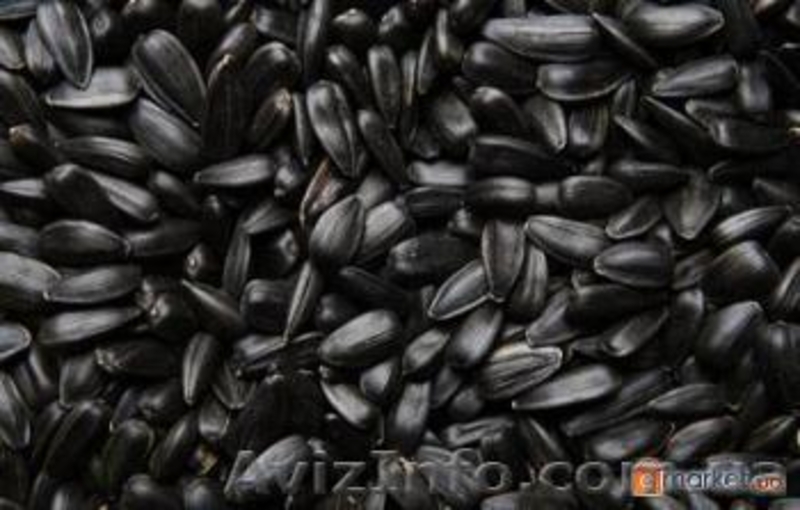 ООО Агро Легион - <ro>Изображение</ro><ru>Изображение</ru> #7, <ru>Объявление</ru> #173452