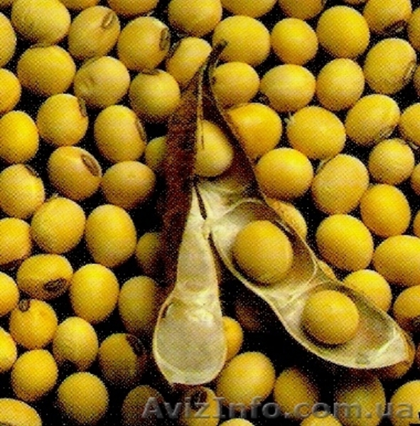 ООО Агро Легион - <ro>Изображение</ro><ru>Изображение</ru> #5, <ru>Объявление</ru> #173452