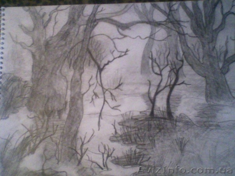 картины карандашом - <ro>Изображение</ro><ru>Изображение</ru> #2, <ru>Объявление</ru> #226853