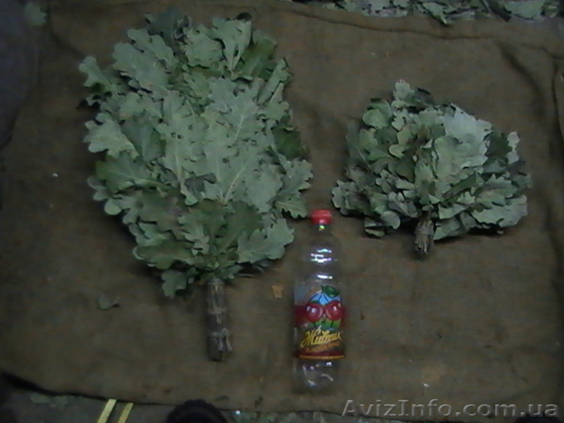 Веники для бани дубовые  - <ro>Изображение</ro><ru>Изображение</ru> #2, <ru>Объявление</ru> #483130