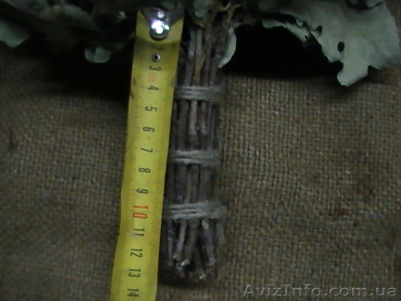 Веники для бани дубовые  - <ro>Изображение</ro><ru>Изображение</ru> #4, <ru>Объявление</ru> #483130