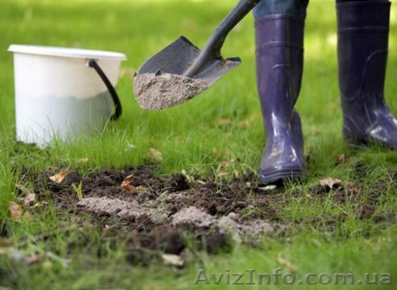 Зола древесная удобрение - <ro>Изображение</ro><ru>Изображение</ru> #2, <ru>Объявление</ru> #461486