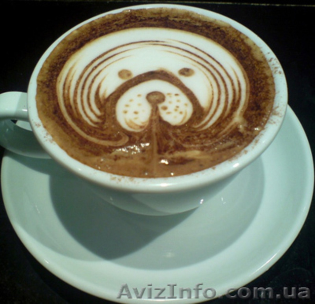 Тренинг-центр «Бариста Плюс» (Школа Бариста)  - <ro>Изображение</ro><ru>Изображение</ru> #1, <ru>Объявление</ru> #556115