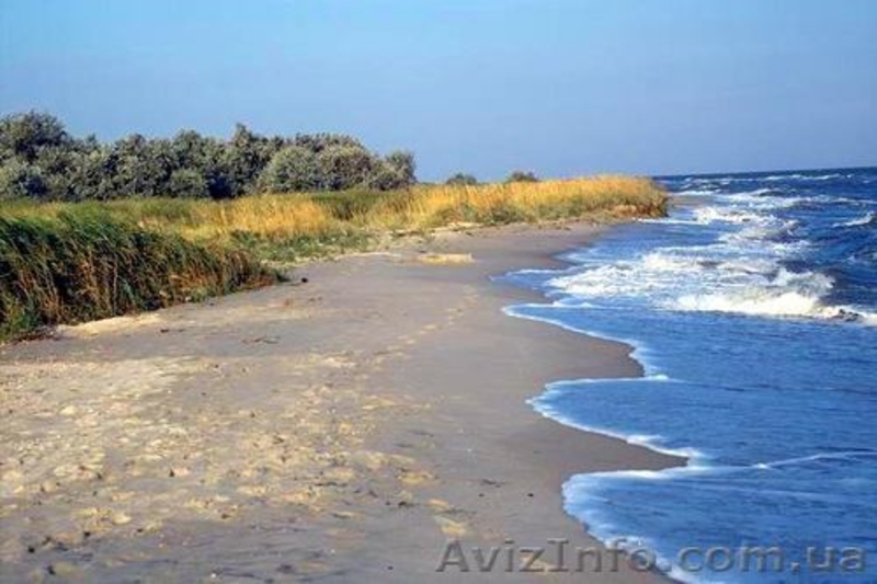 г.Бердянска  marina-vaus@rambler.ru - <ro>Изображение</ro><ru>Изображение</ru> #1, <ru>Объявление</ru> #657292