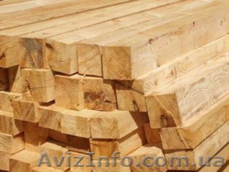 Лиственница сибирская Полтава Украина - <ro>Изображение</ro><ru>Изображение</ru> #6, <ru>Объявление</ru> #153178